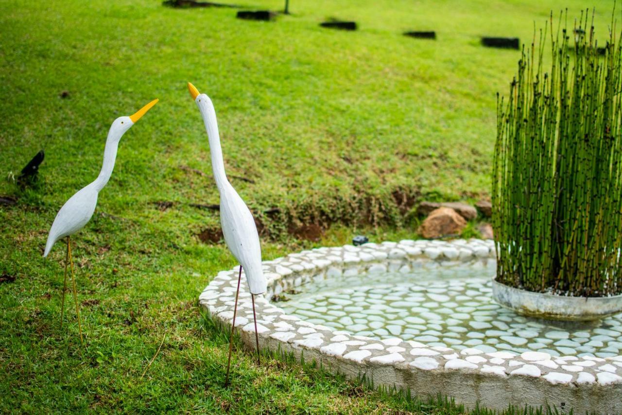 Pousada Toca Dos Tucanos กังโปสดูจอร์เดา ภายนอก รูปภาพ